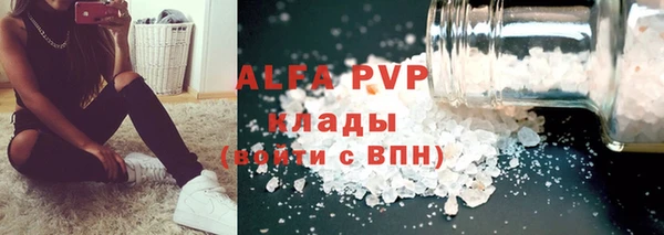 стафф Ростов