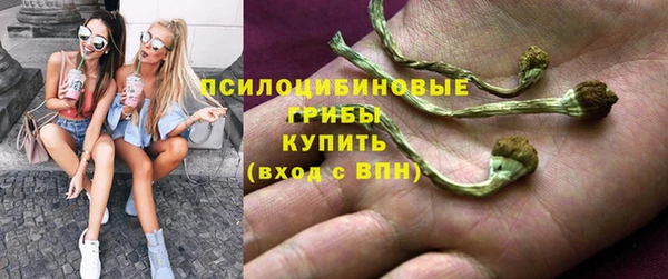 ECSTASY Сатка